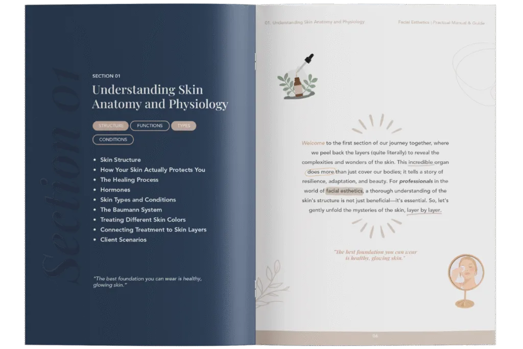 skin anatomy and physiology